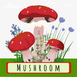 水彩蘑菇矢量图素材