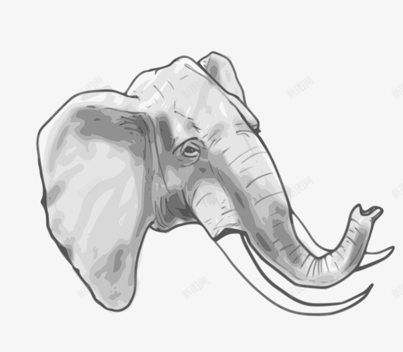 灰色的大象头png免抠素材_新图网 https://ixintu.com 卡通的 大象 大象头 灰色的