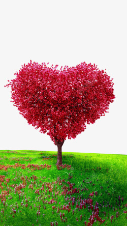 盛开的爱情树素材