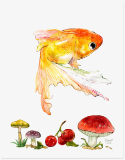 金色蘑菇鱼和植物高清图片