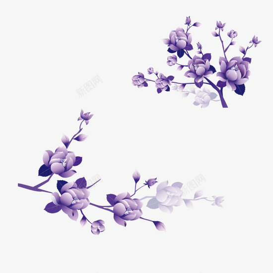 紫色花朵在枝条上盛开png免抠素材_新图网 https://ixintu.com 淡紫 深紫 盛开 花朵