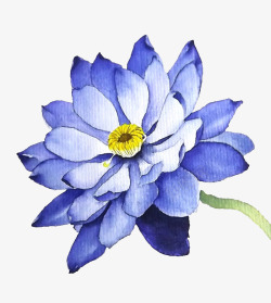 手绘水彩蓝色花卉素材