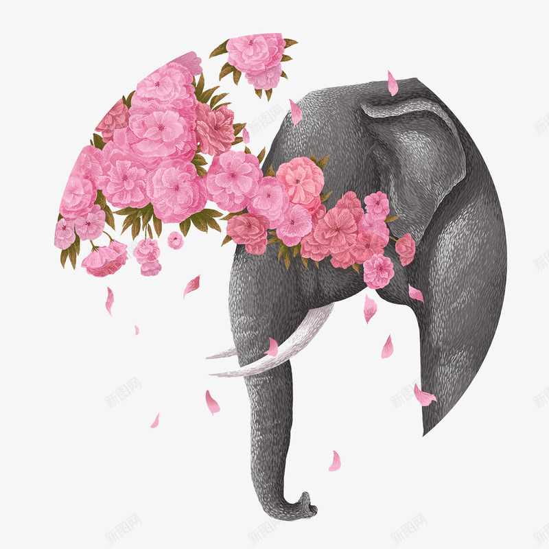 灰色的大象和花png免抠素材_新图网 https://ixintu.com 大象 粉色的花 象头图案