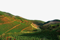 云南东川红土地风景素材