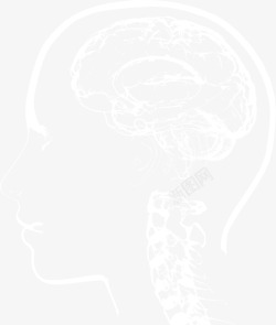 人头图案白色线条大脑高清图片
