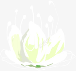 手绘梦幻纯洁白色花朵png免抠素材_新图网 https://ixintu.com 梦幻 白色 纯洁 花朵