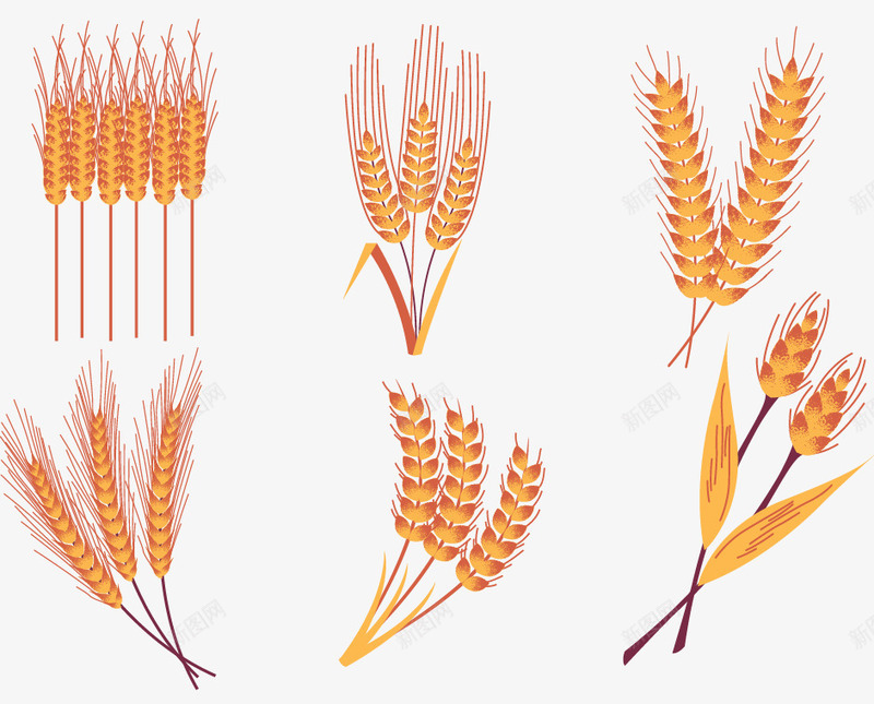 多款写实稻穗稻谷png免抠素材_新图网 https://ixintu.com 矢量写实 稻穗 稻谷 金色麦穗 麦穗 黃色稻穗