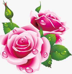 粉色手绘花朵露珠植物素材