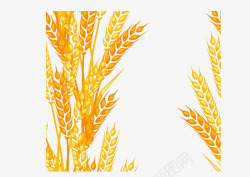 麦子装饰图案素材