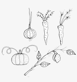 蔬菜手绘图案素材