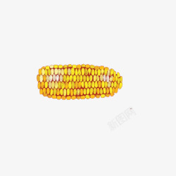 谷类食物玉米高清图片