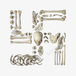 骨骼拼图卐字符号的骨骼拼图高清图片