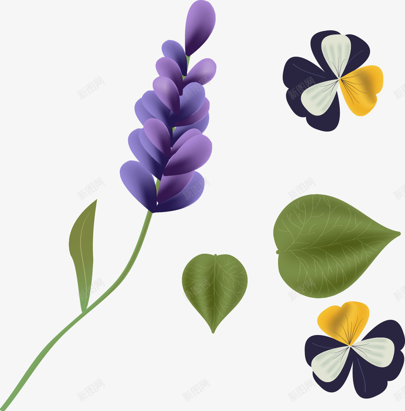 手绘紫色风信子png免抠素材_新图网 https://ixintu.com 写实 手绘 植物 紫色 花朵 风信子