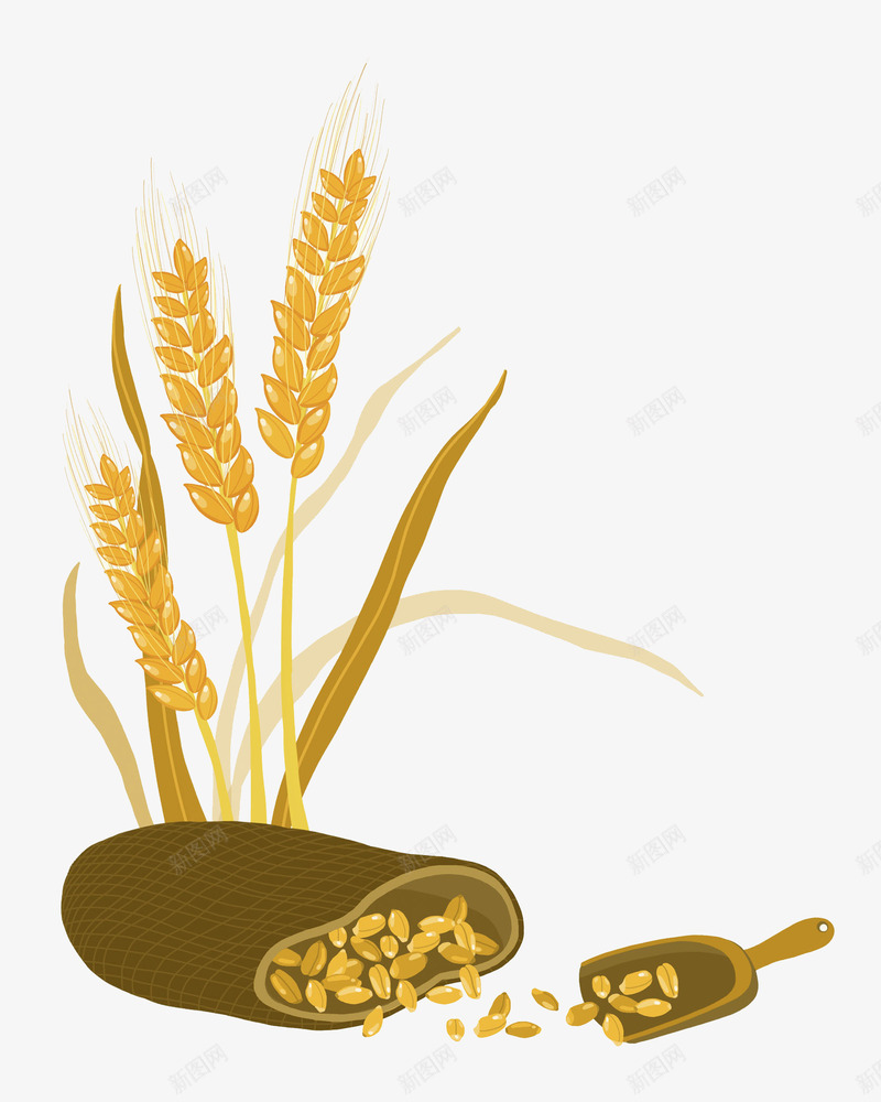 粮食作物麦穗png免抠素材_新图网 https://ixintu.com png图片 农民 粮食 粮食作物 麦穗