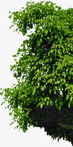 欧式花园设计绿树欧式花园高清图片