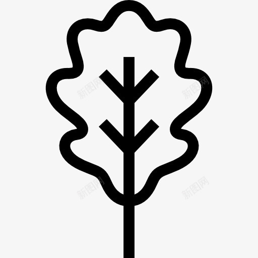 橡树图标png_新图网 https://ixintu.com 叶 植物 橡木 自然 花园