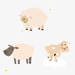 温暖的羊毛绵羊高清图片