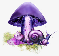 蜗牛大海螺蘑菇高清图片