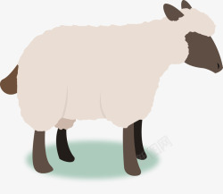 羊品种卡通羊动物高清图片