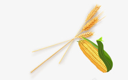 玉米秸秆玉米麦穗高清图片