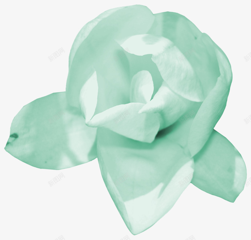 手工纸质花朵png免抠素材_新图网 https://ixintu.com 手工 白色 纸质 花朵
