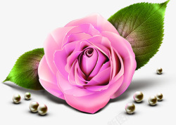 粉色盛开鲜花植物珍珠素材