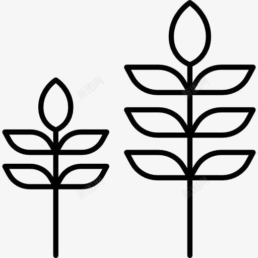 两种植物图标png_新图网 https://ixintu.com 叶子 植物 生态 生态主义 自然