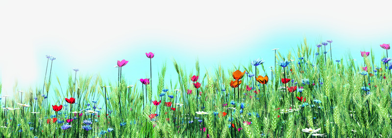 创意合成绿色的草丛花卉植物png免抠素材_新图网 https://ixintu.com 创意 合成 植物 绿色 花卉 草丛