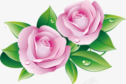 粉色可爱露珠花朵素材