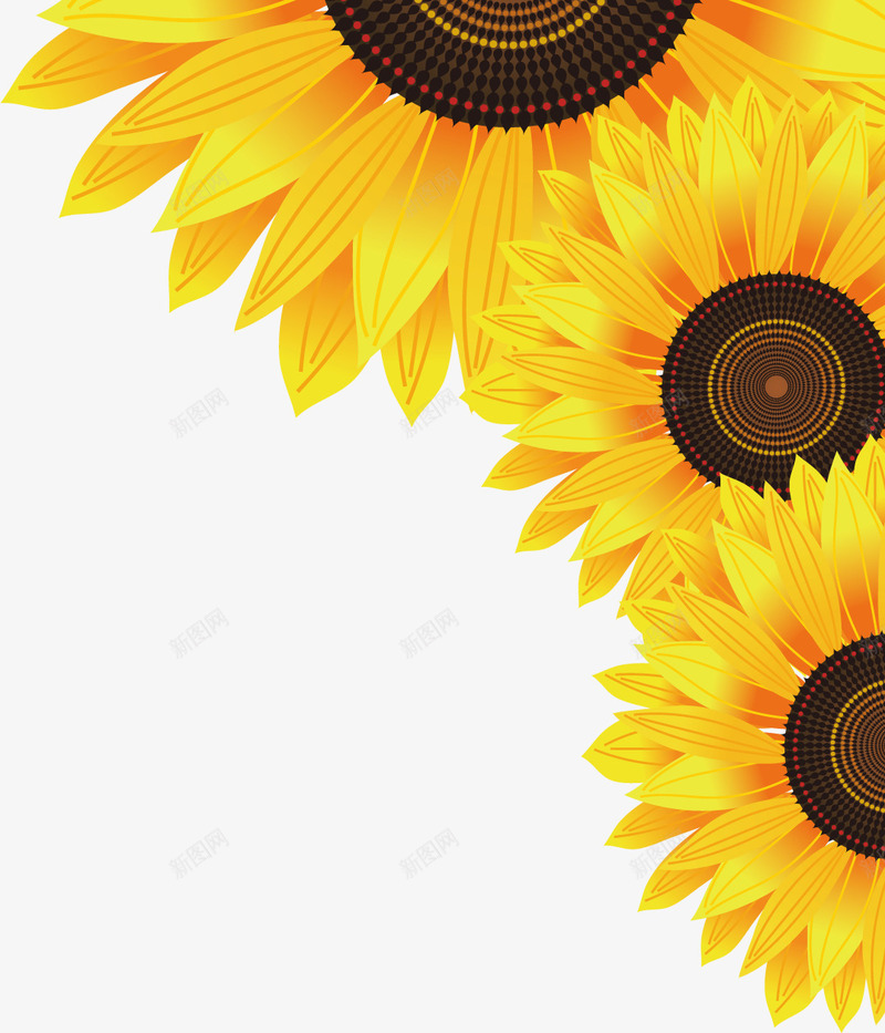 黄色完美盛开向日葵花朵png免抠素材_新图网 https://ixintu.com 向日葵 完美 盛开 花朵 黄色