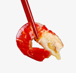 筷子夹着的北极虾筷子夹着大虾高清图片