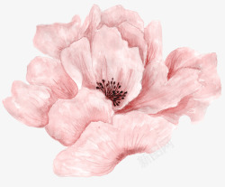 粉色盛开唯美花朵素材