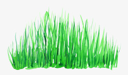 绿色水彩草丛素材