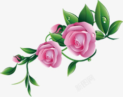 粉色手绘新鲜花朵露珠素材