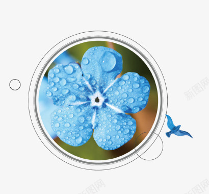 蓝色唯美花朵图标图标