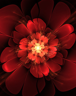 盛开的红色花朵素材