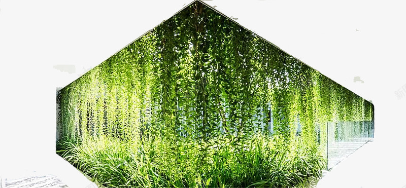 利用植物来砌墙png免抠素材_新图网 https://ixintu.com 围墙建筑 是世界上 最具特色 的城市绿色 绿植墙