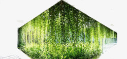 城市绿植利用植物来砌墙高清图片