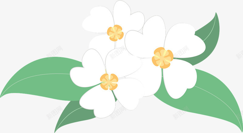 一朵白色的纯洁花儿png免抠素材_新图网 https://ixintu.com 一朵 白色的 纯洁 花 花儿