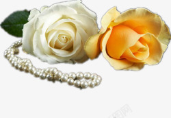 黄色的珍珠项链玫瑰和项链高清图片