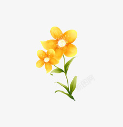 娇艳活力四射绿叶黄色花朵高清图片