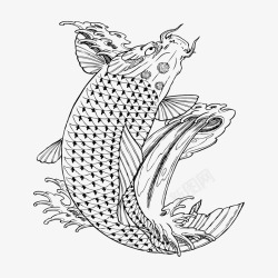 9鱼白描手绘鲤鱼高清图片
