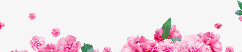 粉色盛开的花朵海报背景png免抠素材_新图网 https://ixintu.com 海报 盛开 粉色 背景 花朵