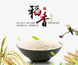 麦穗米饭大米简约养生稻香高清图片