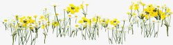 黄色卡通手绘花朵户外素材