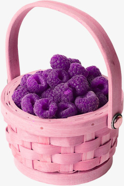 多汁桑葚紫色诱人桑葚高清图片