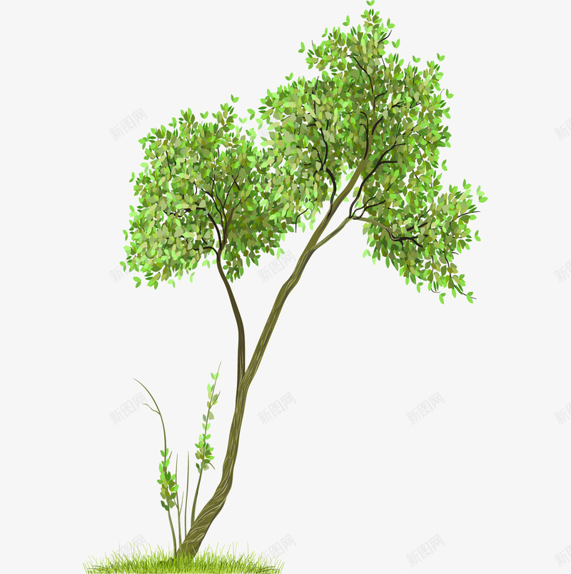 绿色弯曲的树png免抠素材_新图网 https://ixintu.com png图形 png装饰 树叶 树木 植物 装饰
