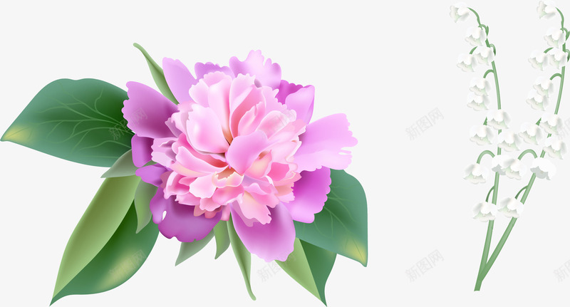 手绘紫色花朵png免抠素材_新图网 https://ixintu.com 手绘 白色小花 盛开的花朵 紫色花朵 鲜花