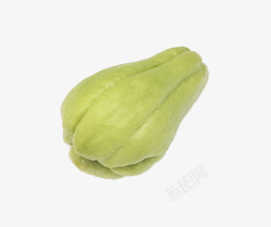 土耳瓜一直葫芦形的绿色佛手瓜高清图片