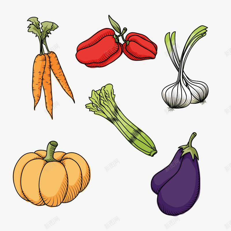 各类新鲜蔬菜图案png免抠素材_新图网 https://ixintu.com 南瓜 茄子 萝卜 营养 蔬菜